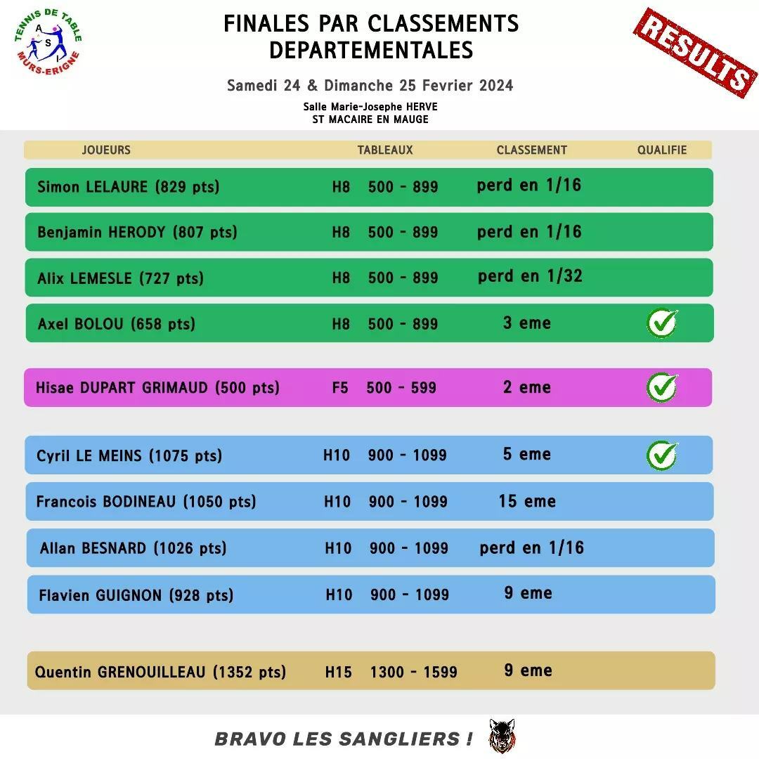 Finales départementales