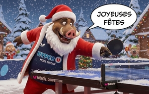 Joyeuses fêtes ! 🎉