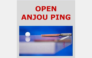 Open Anjou Ping