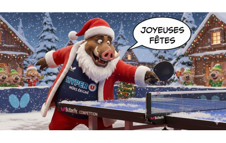 Joyeuses fêtes ! 🎉